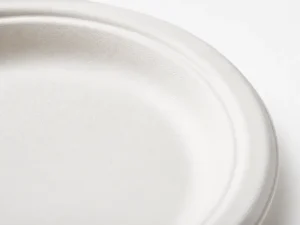 close up fiber texture of sugarcane bagasse round plate