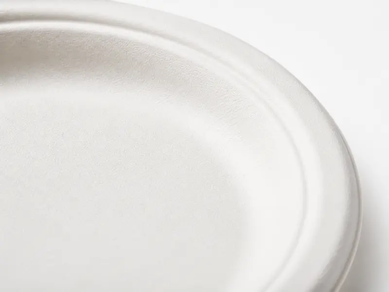 kgp-sugarcane-bagasse-plate-fiber-texture-detail close up fiber texture of sugarcane bagasse round plate