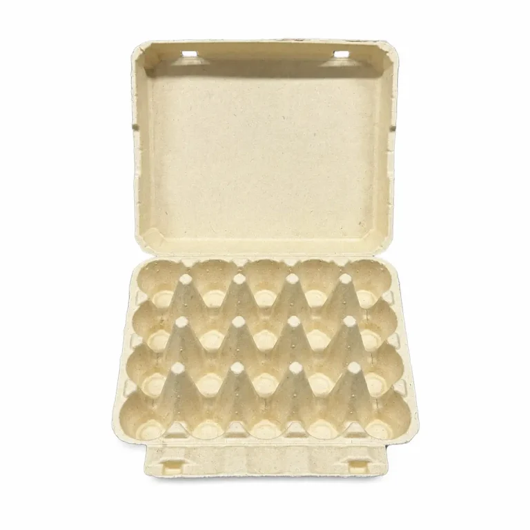 Open front view of 20-count molded pulp egg carton