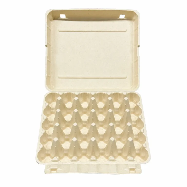Open front view of 30-count molded pulp egg carton