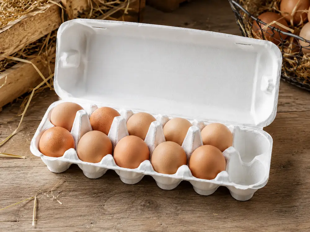 white 12-count molded pulp egg carton used in an egg packing scene
