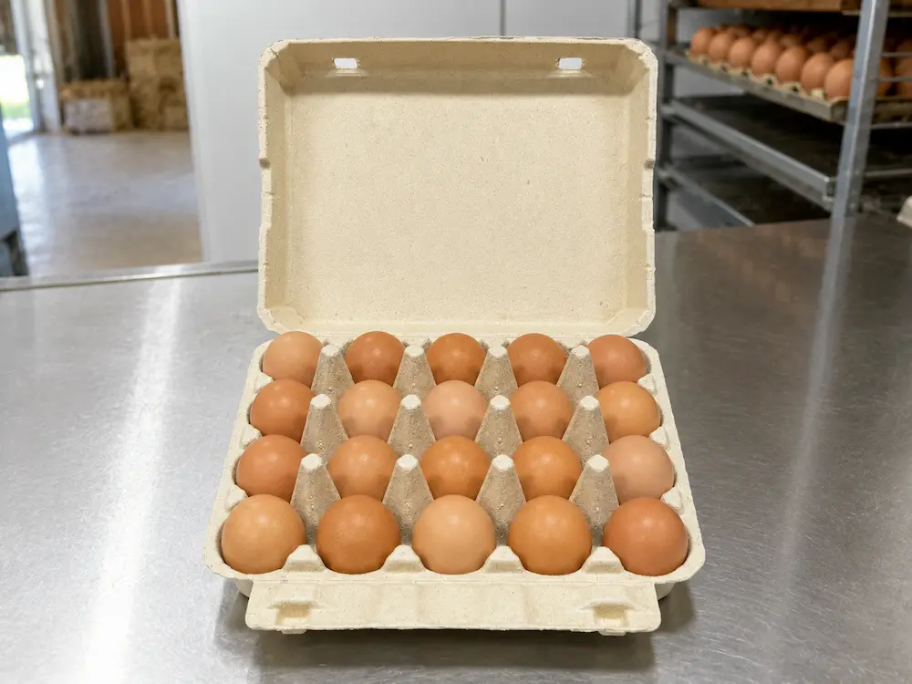 20-count molded pulp egg carton holding twenty eggs at an egg packing station