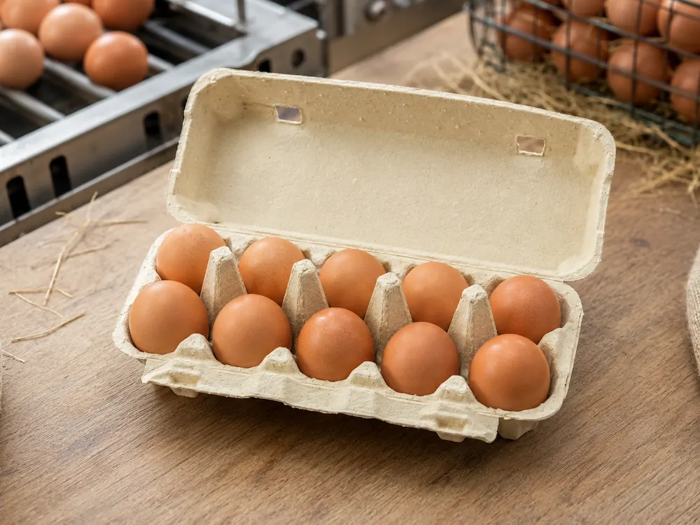 10-count molded pulp egg carton holding ten eggs at an egg packing station