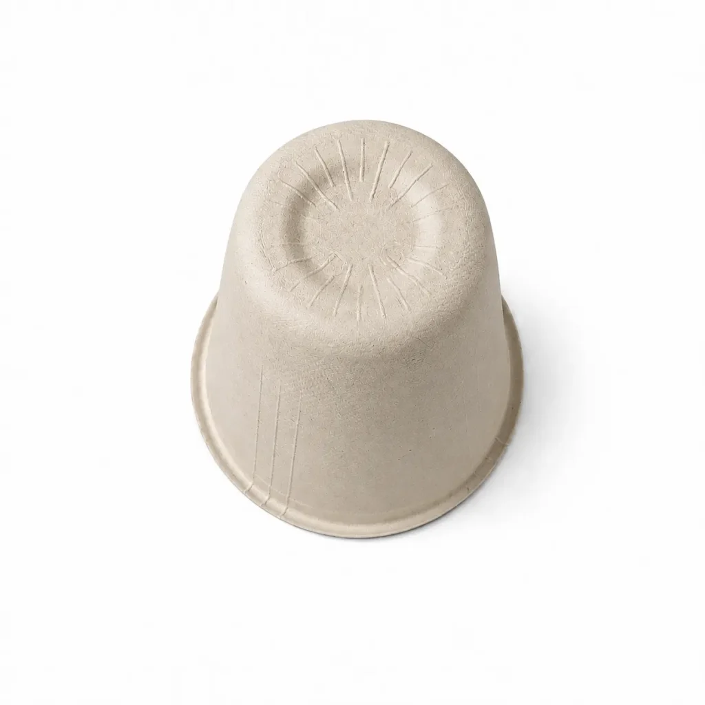 Bottom view of a 12oz Molded Fiber Cup showing its recessed circular base, radial reinforcing lines, tapered outer wall, and molded-fiber texture