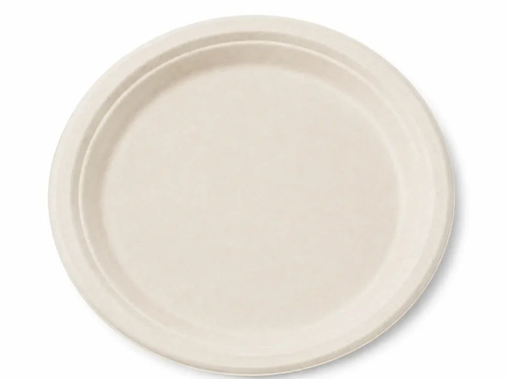 Close-up top view of a natural-color 10-Inch Sugarcane Bagasse Round Plate showing its single-section serving area and continuous raised rim