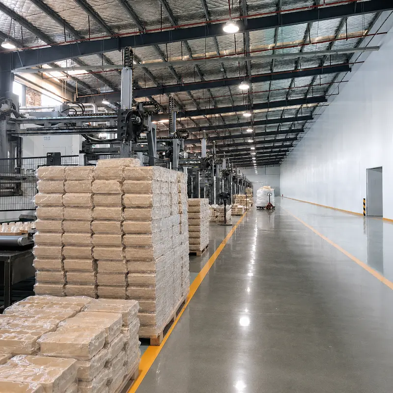 King Green Pack molded pulp manufacturing factory